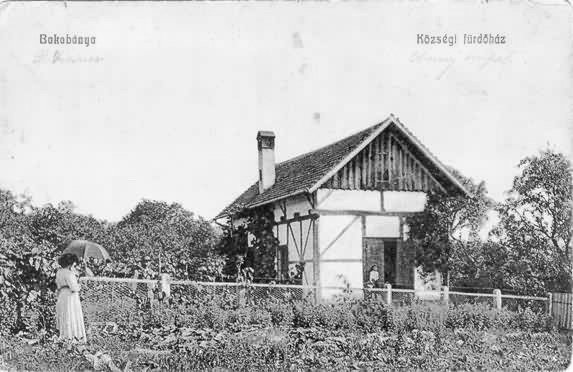Photograph